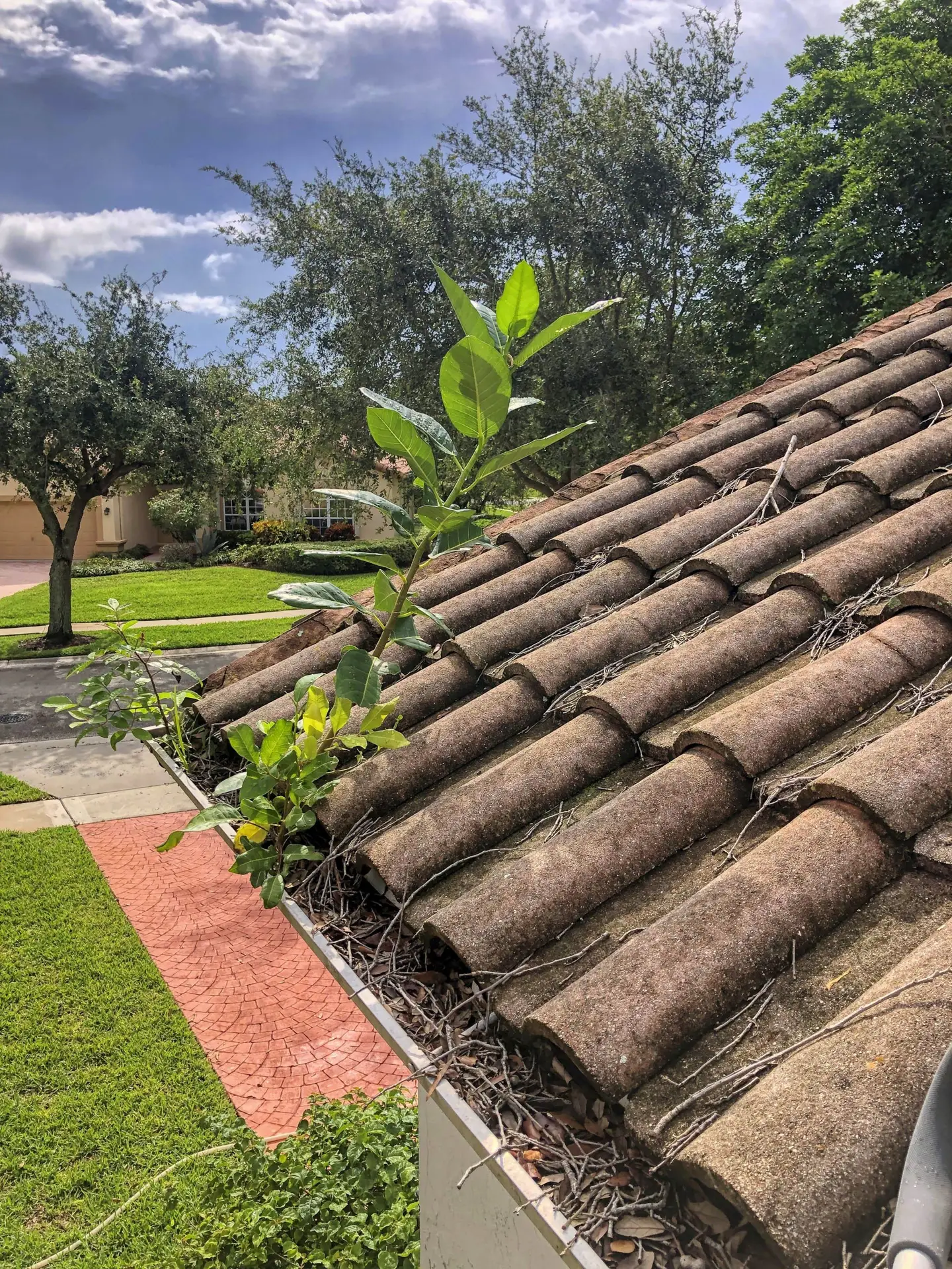 VSP Softwash Gutter Interior Before-min