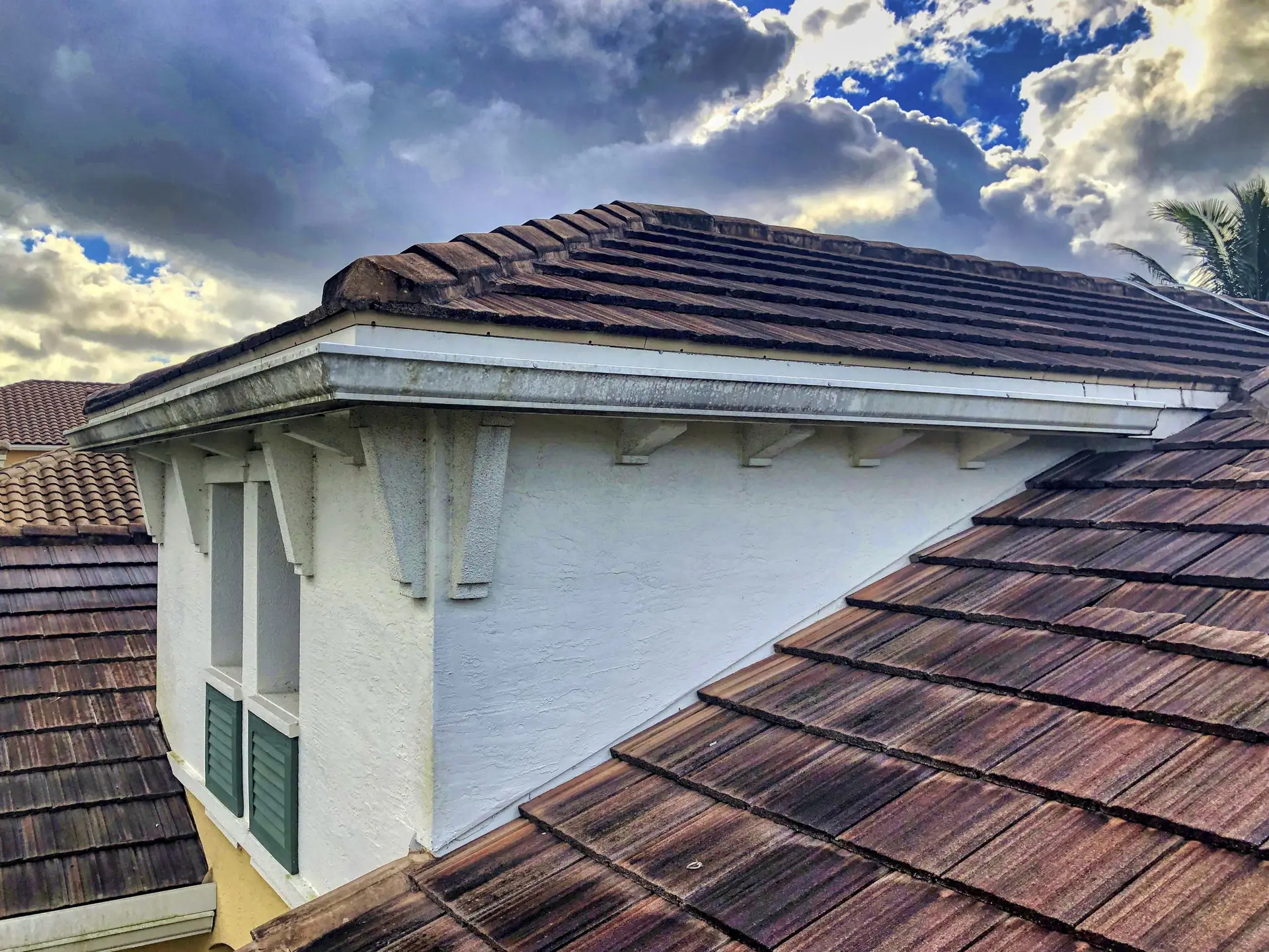 VSP Softwash Gutters_6a Before-min