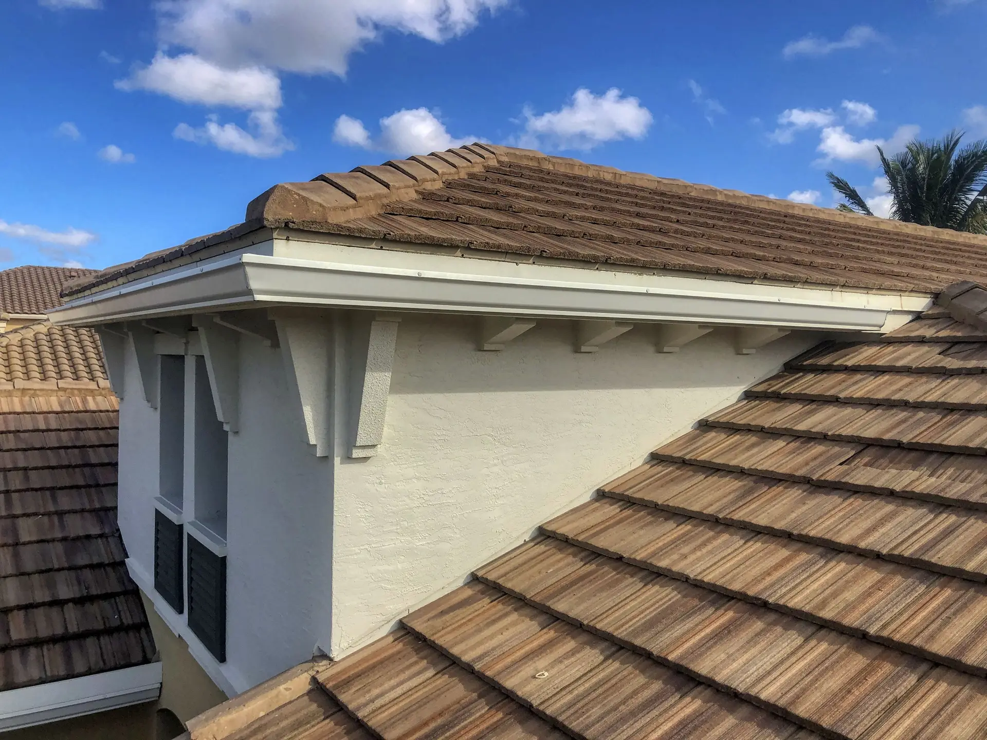 VSP Softwash Gutters_6b After-min