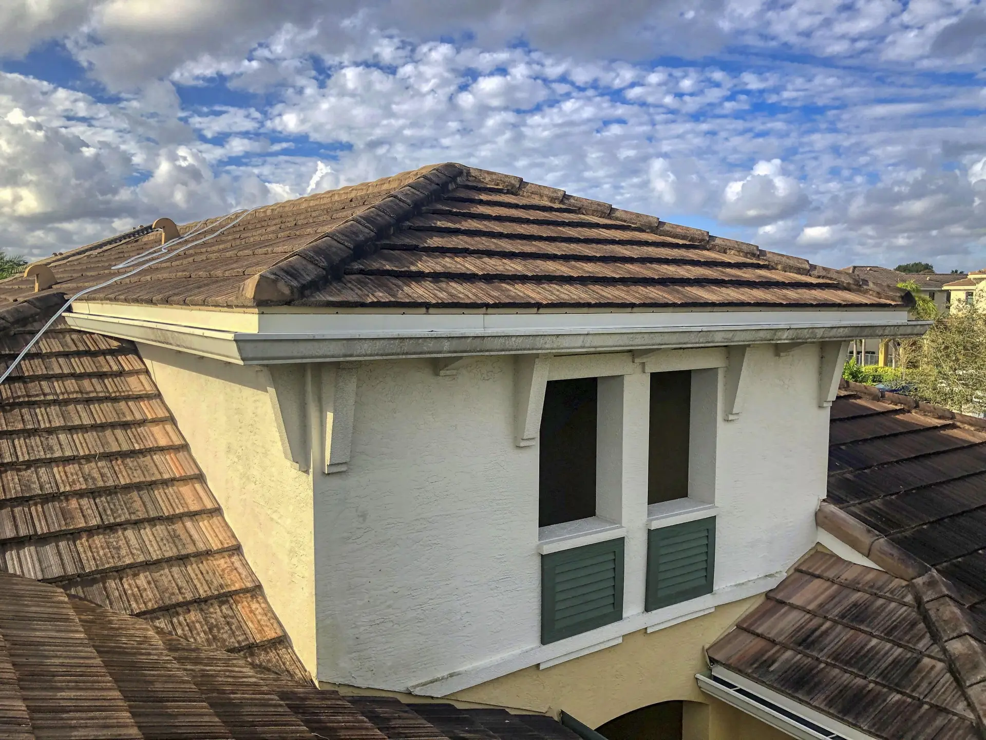 VSP Softwash Gutters_7a Before-min