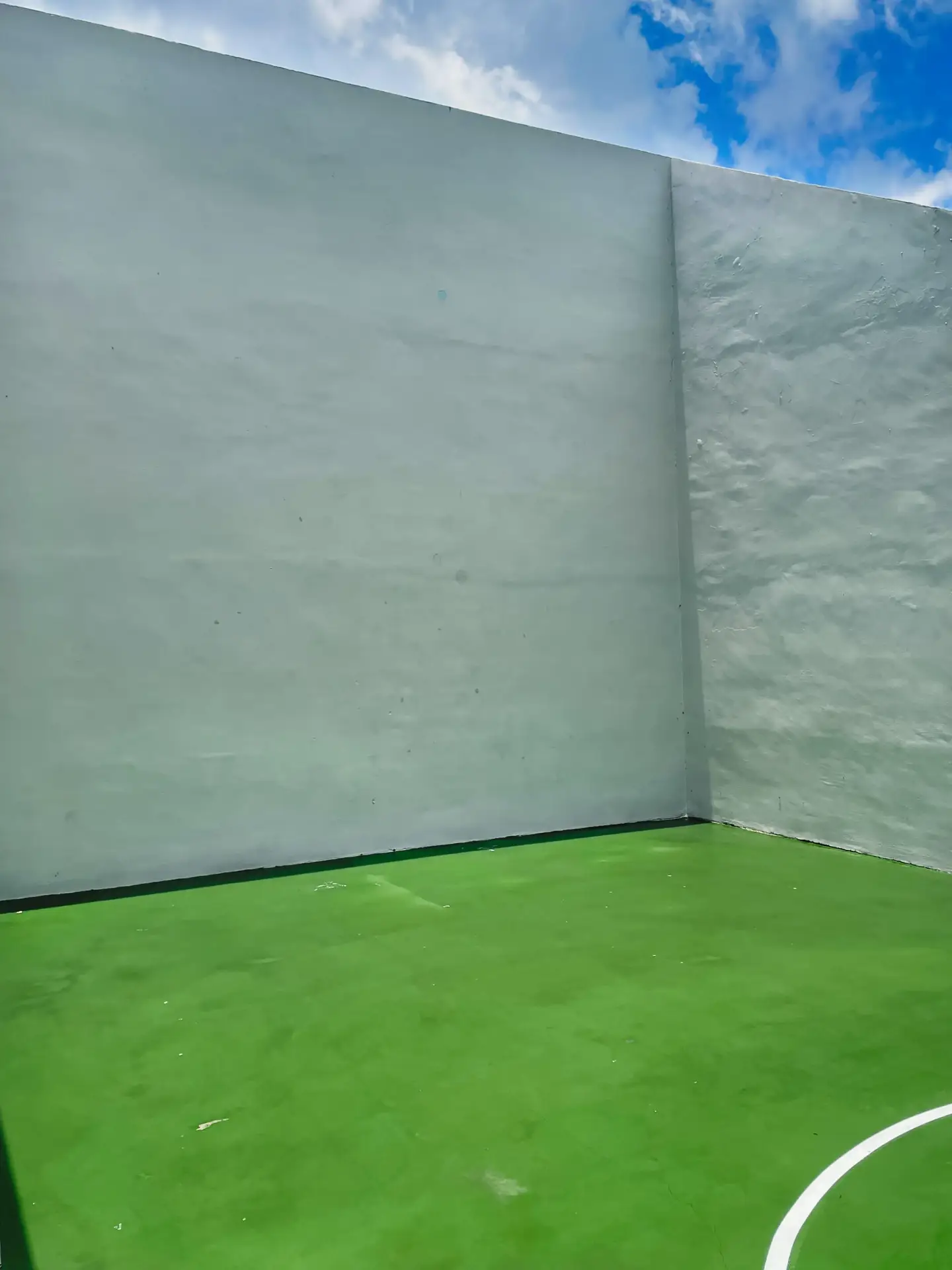 VSP Softwash Racket Ball Court_1c-min