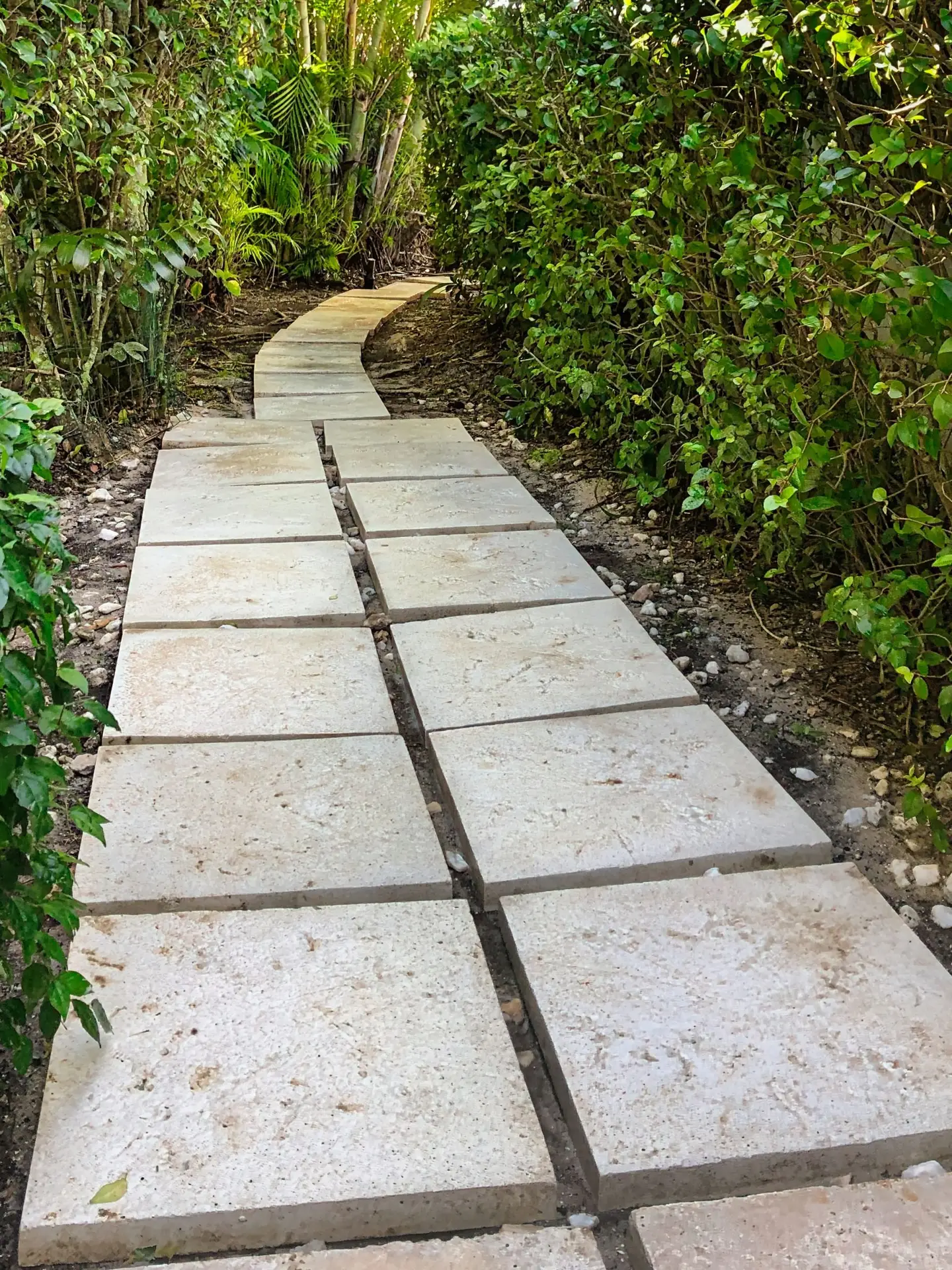 VSP Softwash Walkway_2b After-min