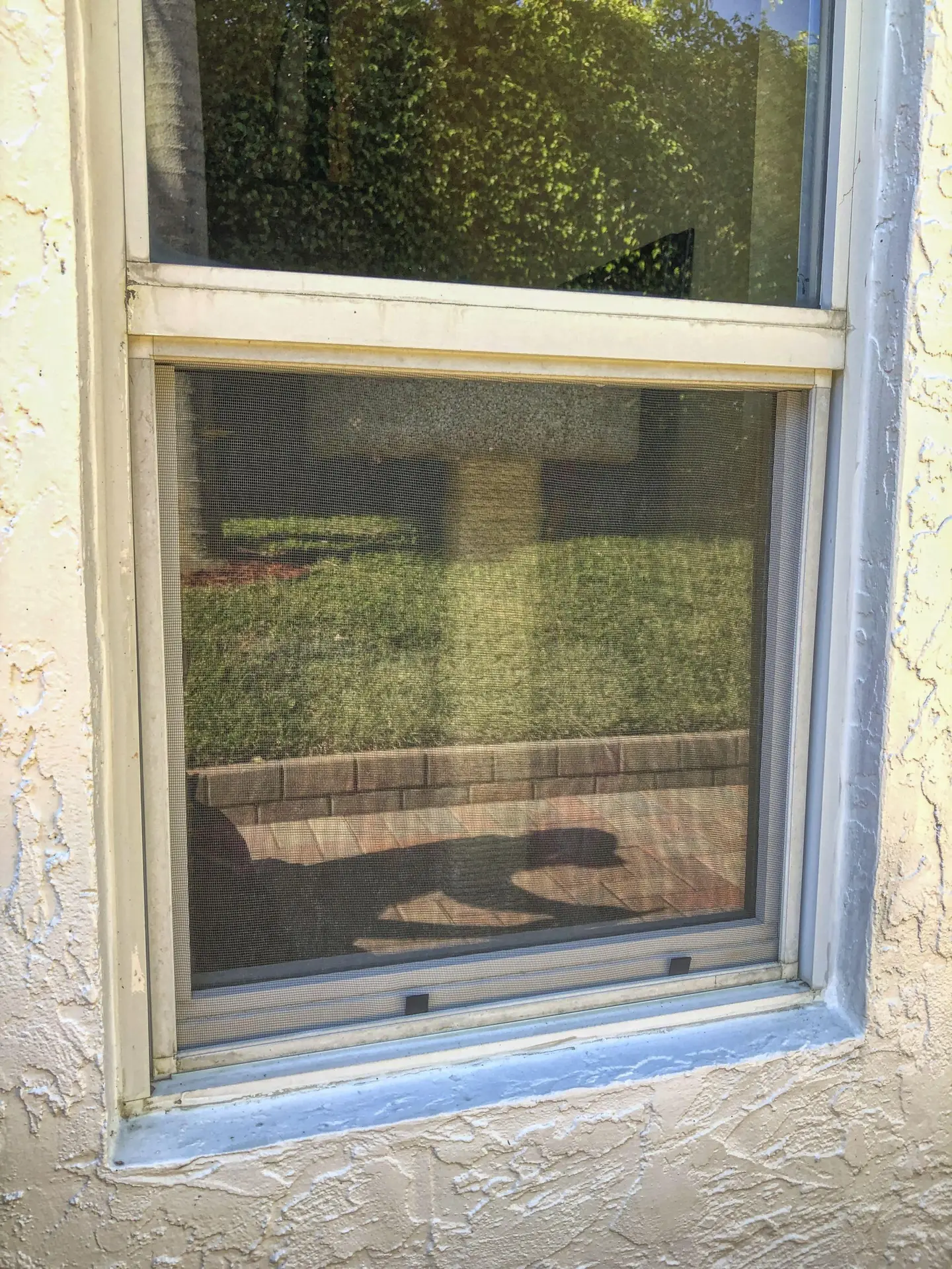 VSP Softwash Windows_2b After-min